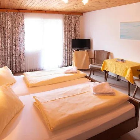 酒店 Flachauwinkl 弗拉绍