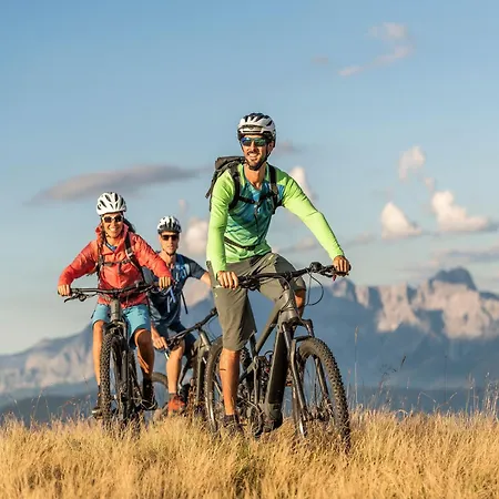 Flachauwinkl 3* 弗拉绍