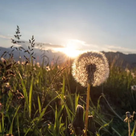 Flachauwinkl 弗拉绍