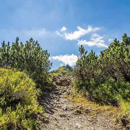 酒店 Flachauwinkl 3*