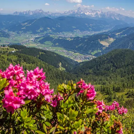 酒店 Flachauwinkl 弗拉绍