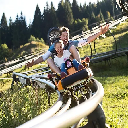 Flachauwinkl 弗拉绍