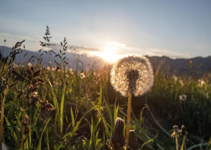 Flachauwinkl Flachau