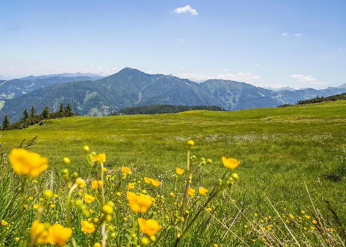 Hotel Flachauwinkl 3*